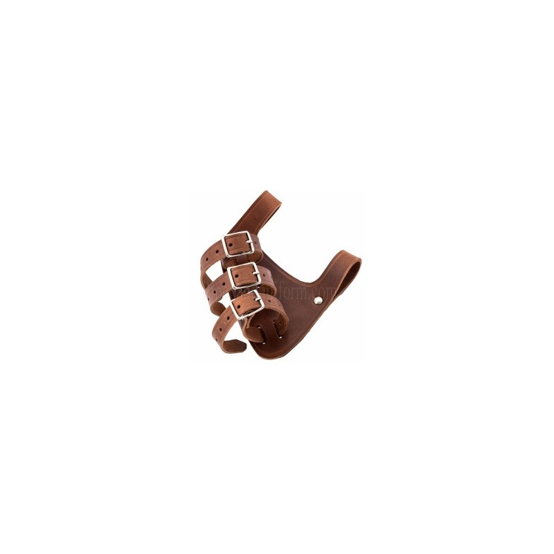 Leather Sword Frog Rapier Knight Sword Belt